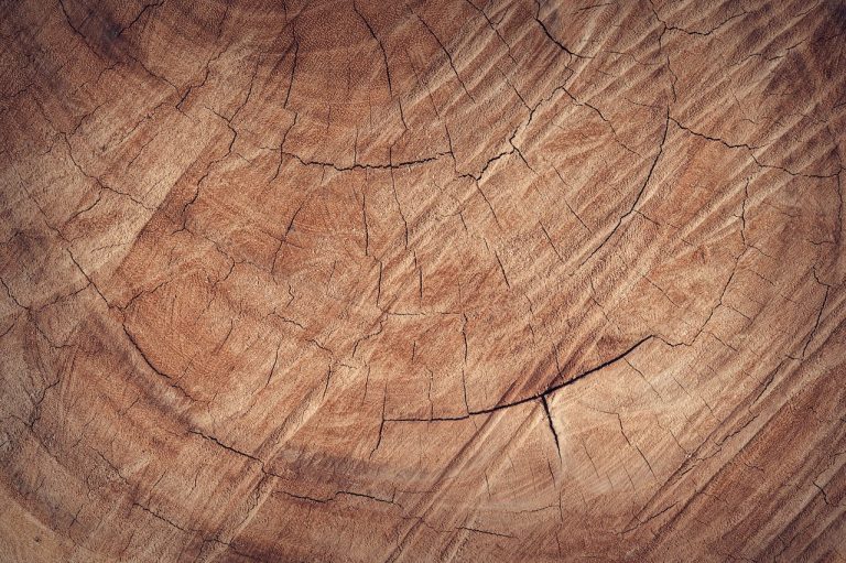 De voordelen van brandhout en essenhout met de verschillen en toepassingen