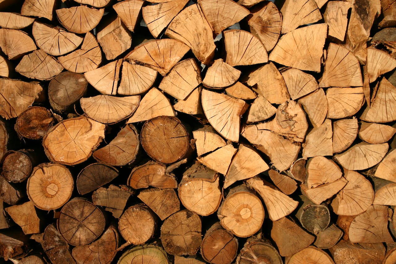 De voordelen van het kiezen tussen brandhout en essenhout voor thuis